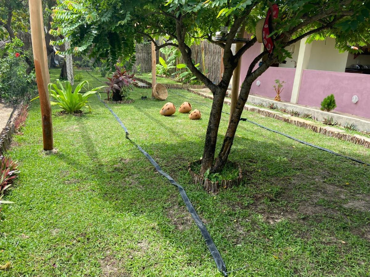 Pousada Rico Atins باريرينهاس المظهر الخارجي الصورة